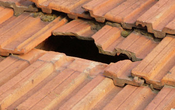 roof repair Croxdale, County Durham
